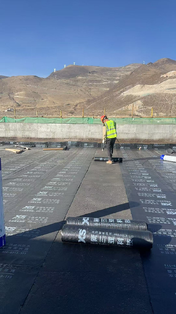 香港最快最准的网站