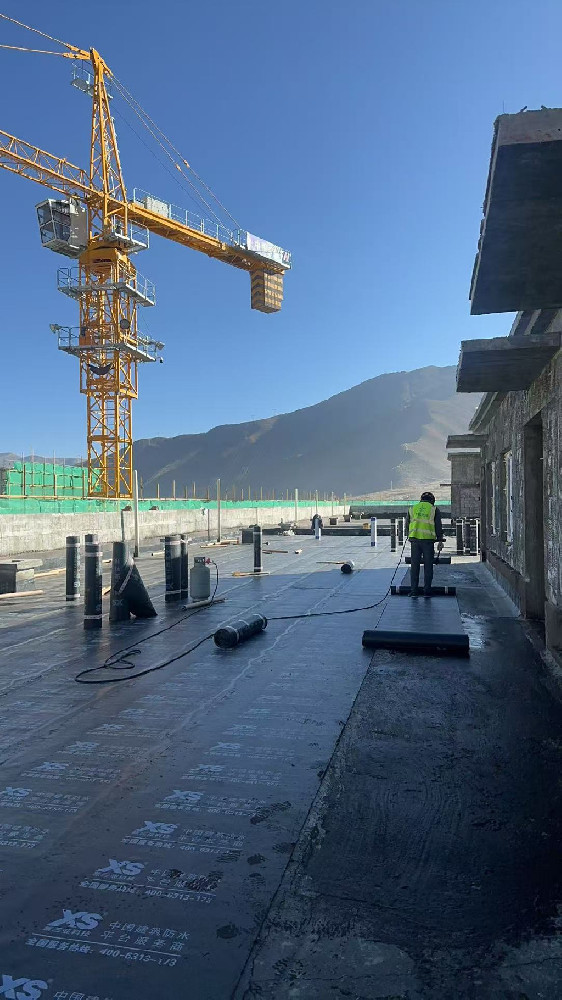 香港最快最准的网站