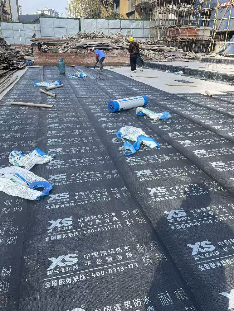 香港最快最准的网站