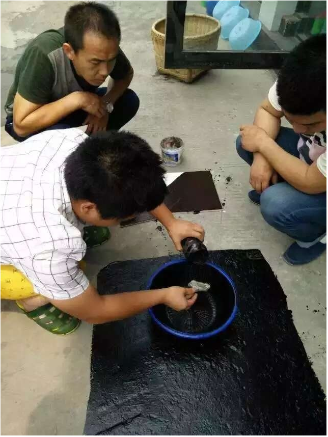 香港最快最准的网站