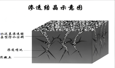 香港最快最准的网站